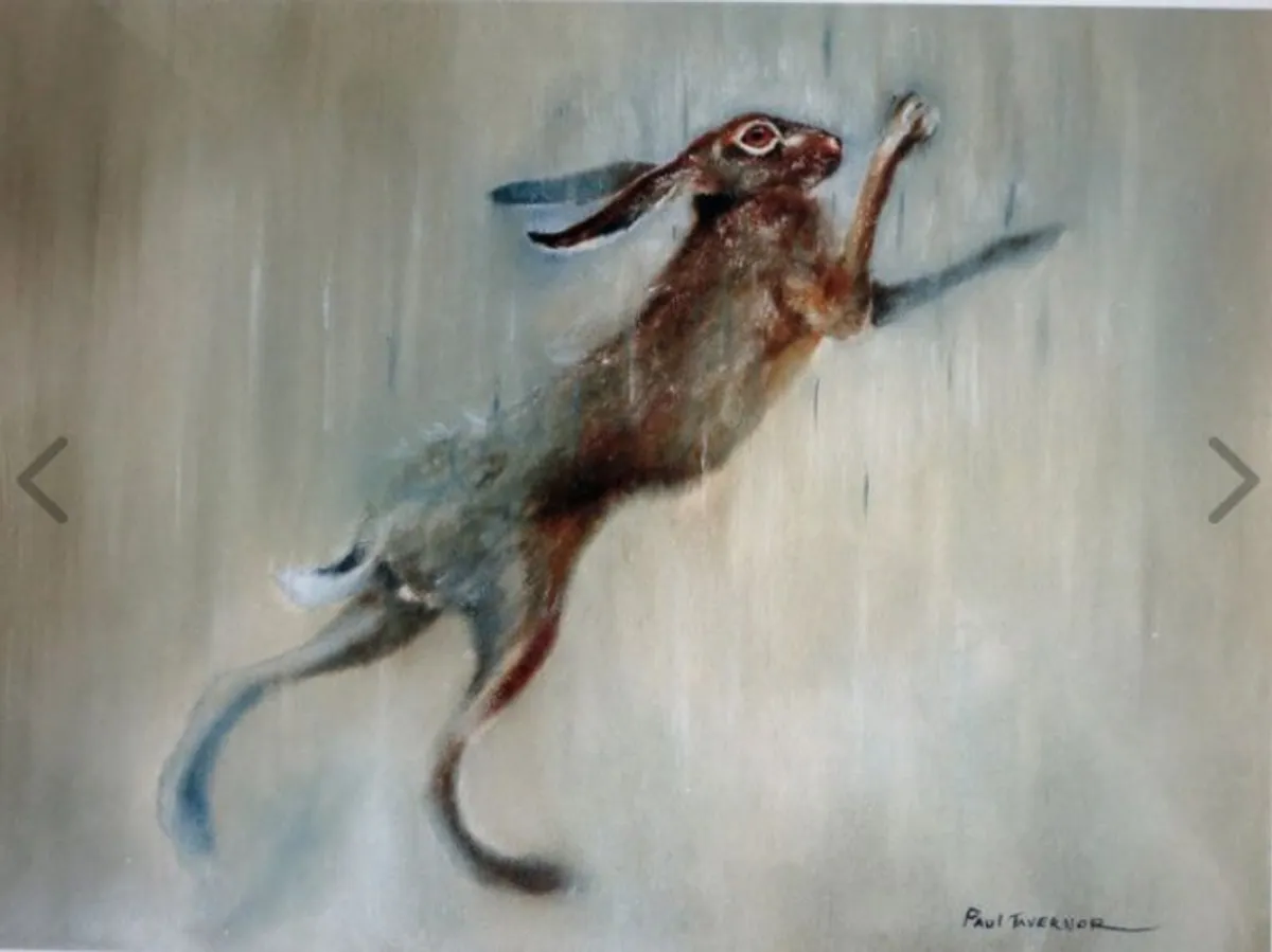 Hare prints - Image 1