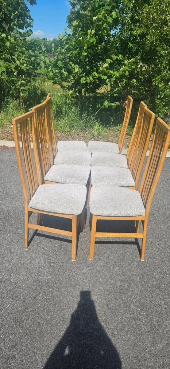 8 chairs free  to take away - Image 1
