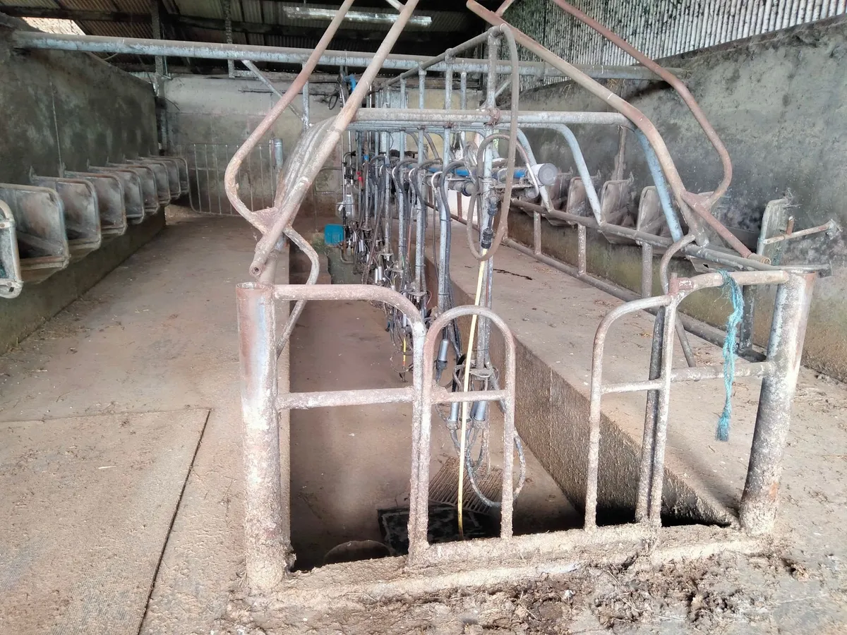 Milking parlor - Image 3