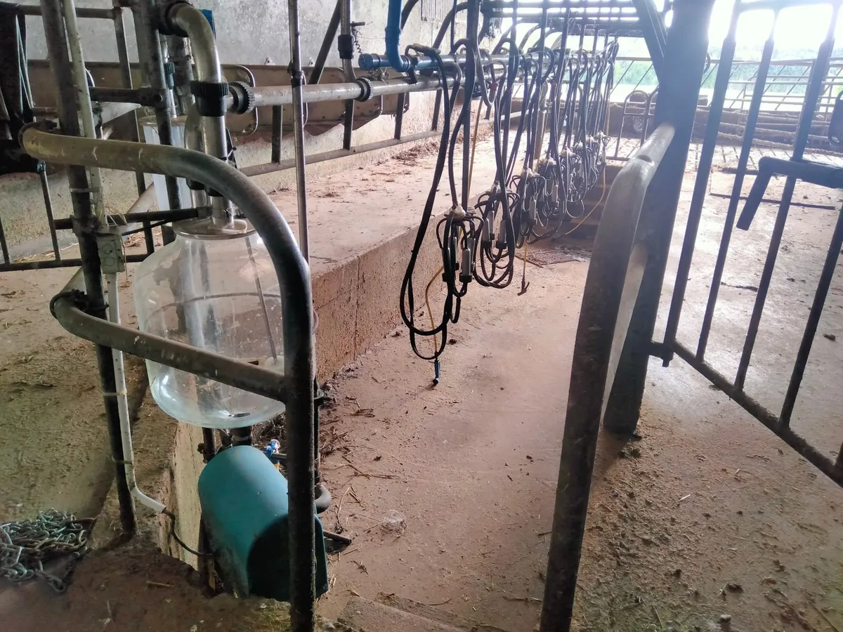 Milking parlor - Image 2