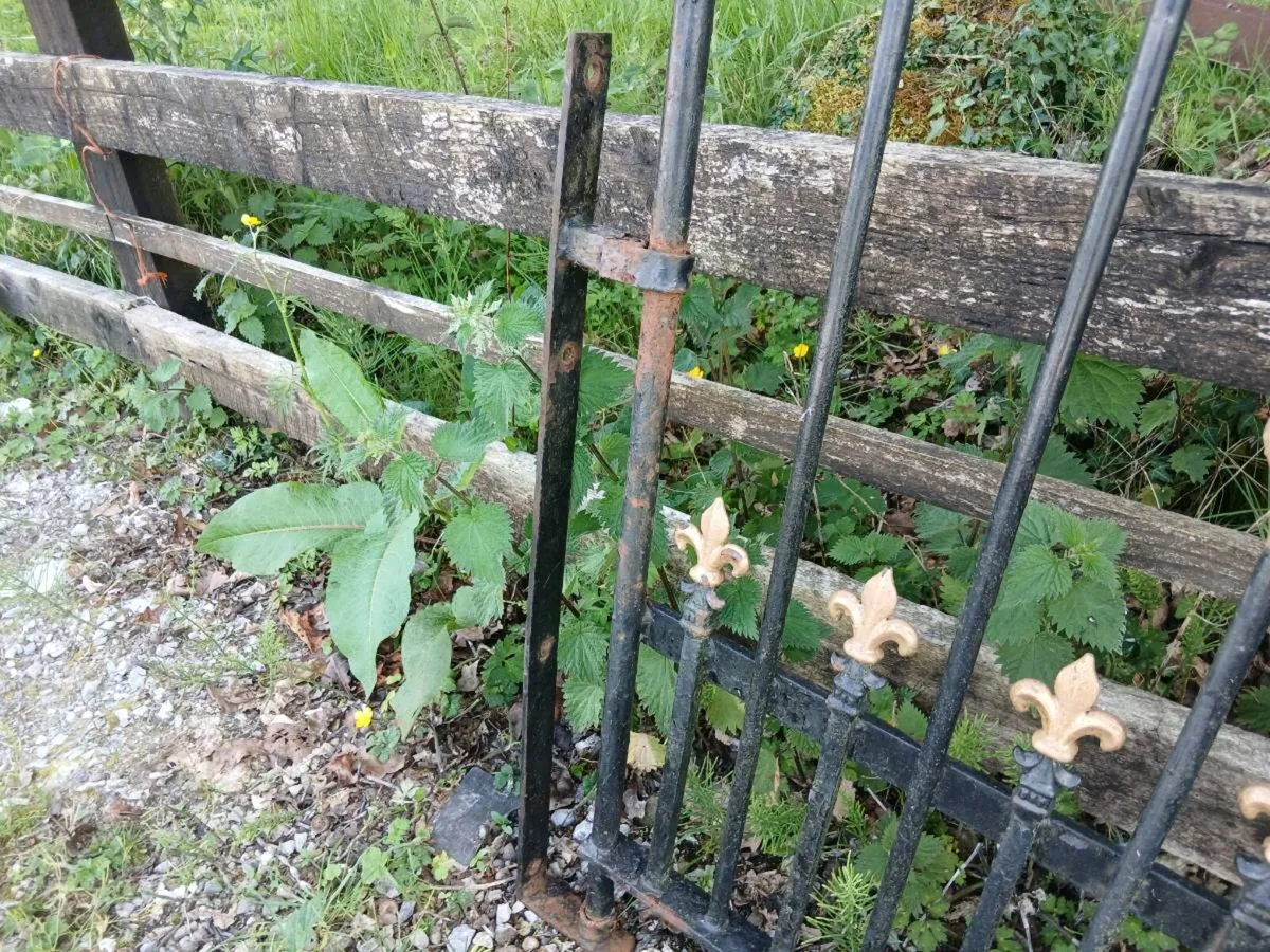 Wrought Iron Gate - Image 2
