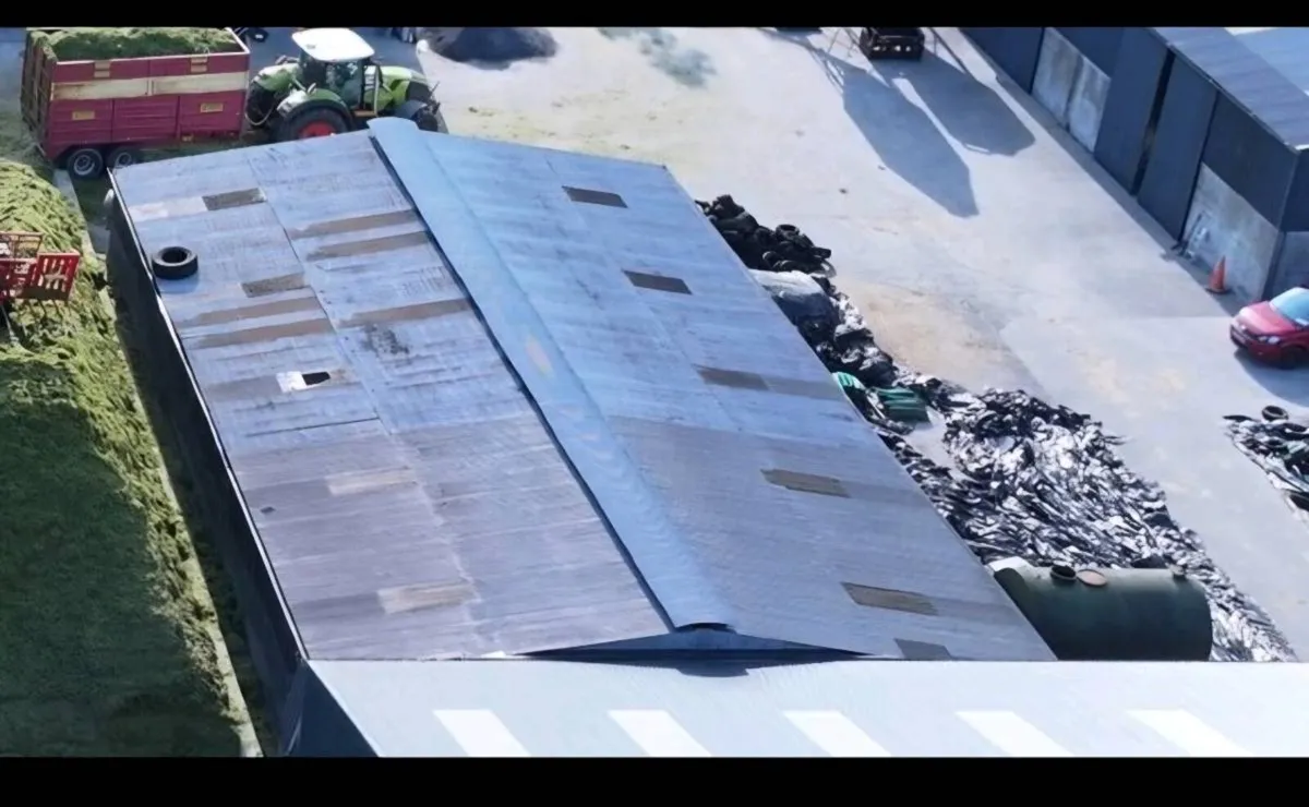 Shed Roof - Image 1