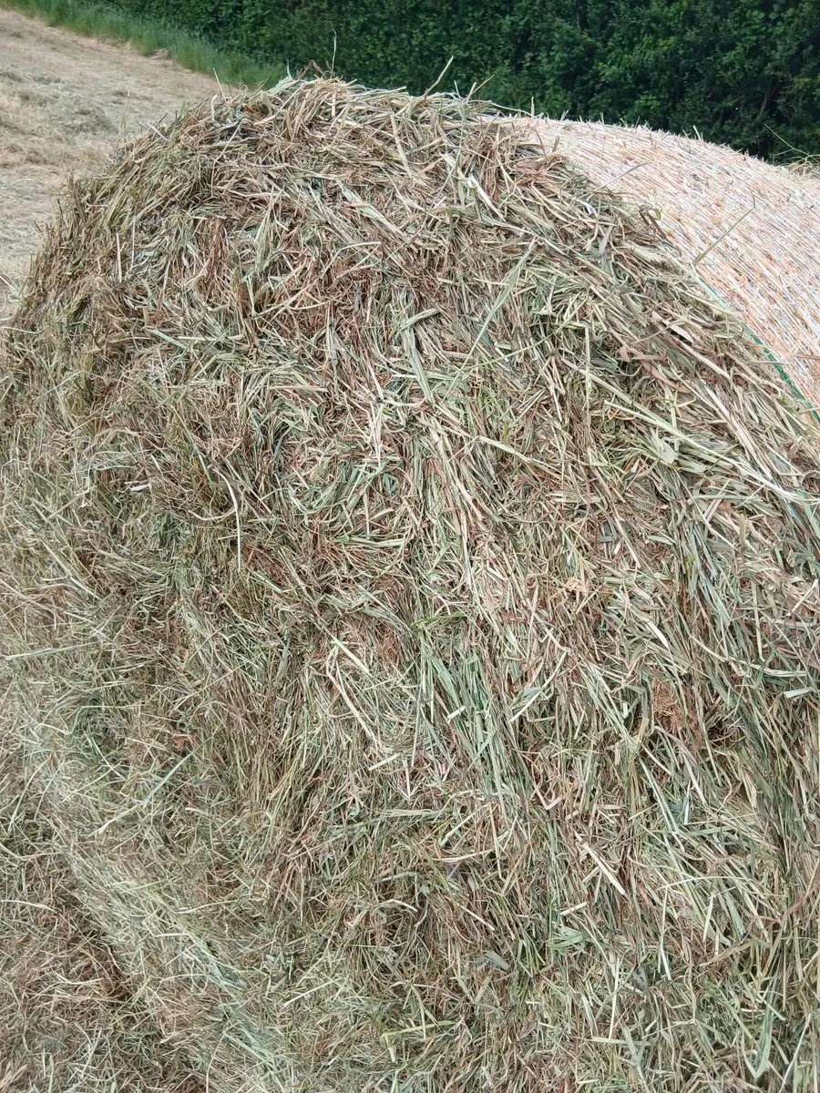 Hay Bales - Image 4