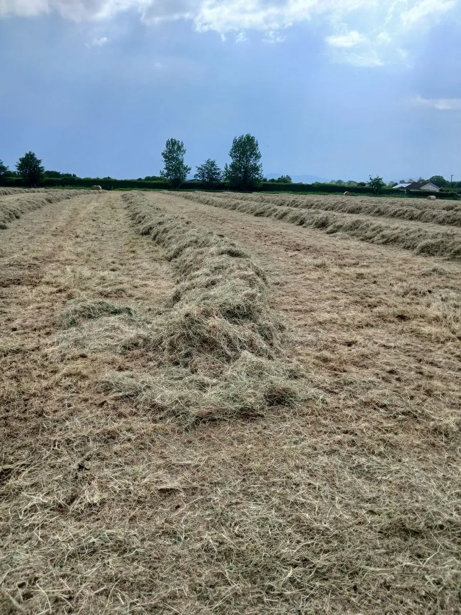 Hay Bales - Image 2