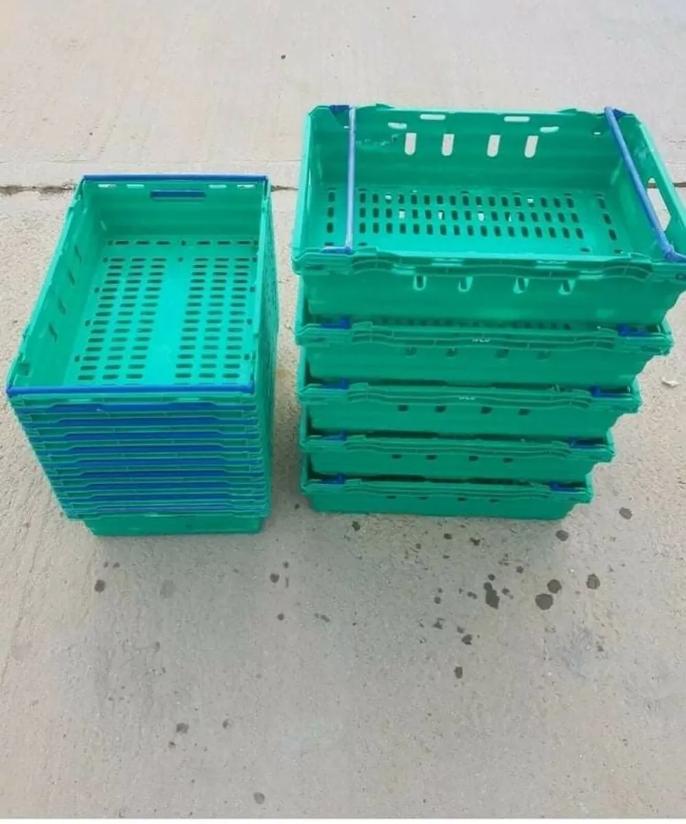 Wanted Bail Arm Crates