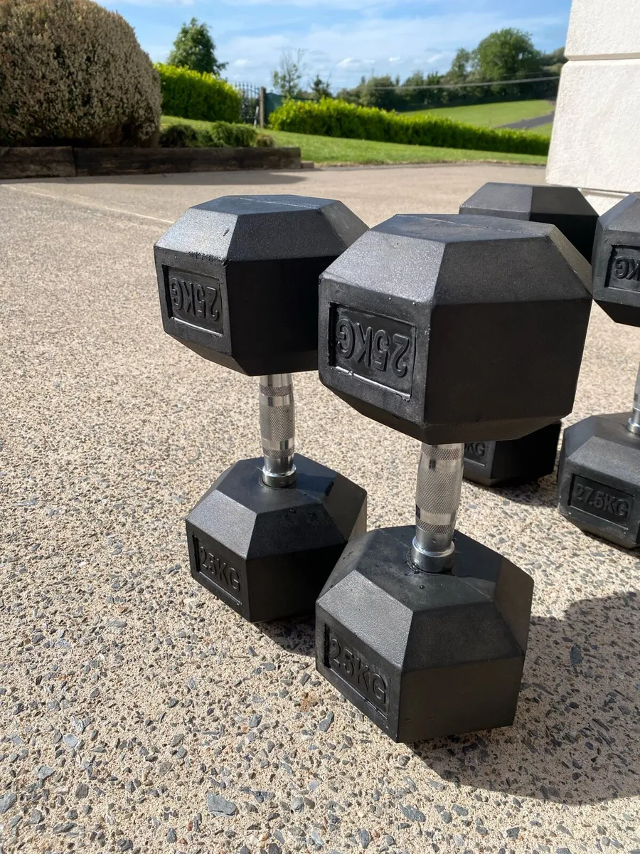 Dumbbells - Image 3