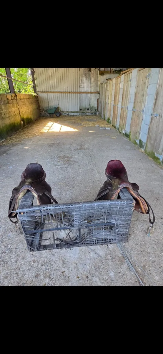 Saddles - Image 1
