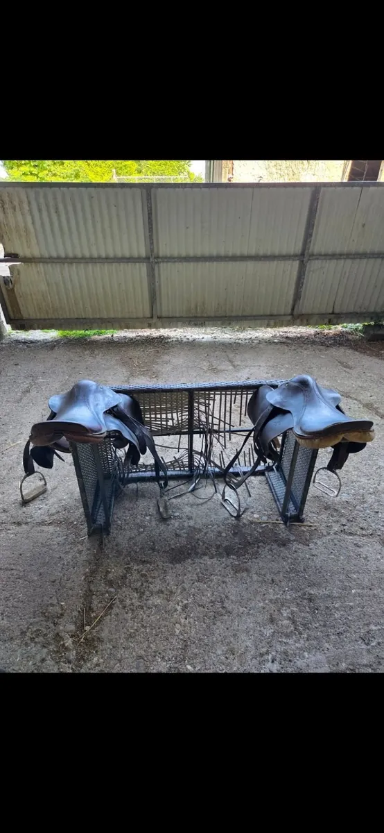 Saddles - Image 2