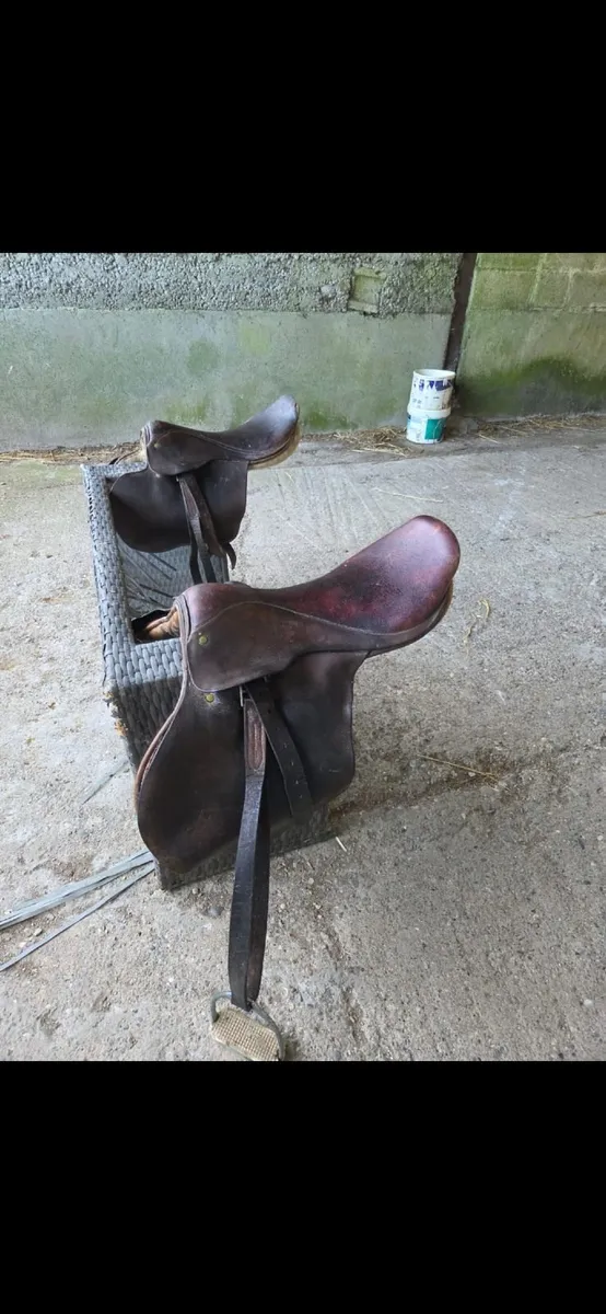 Saddles - Image 3