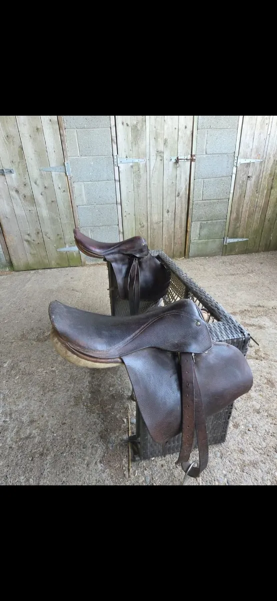 Saddles - Image 4