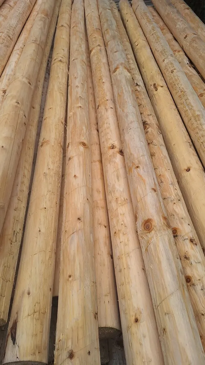 Poles - Image 1