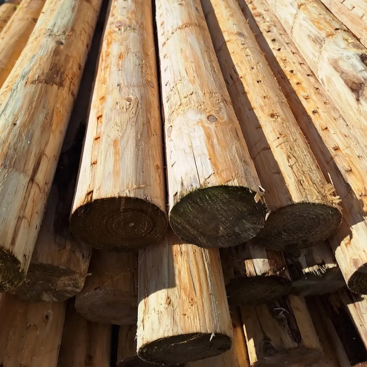 Poles - Image 2