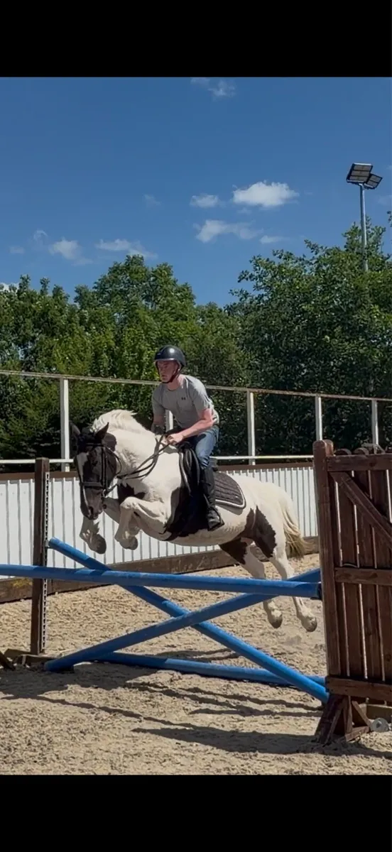 All rounder ⭐️ - Image 1