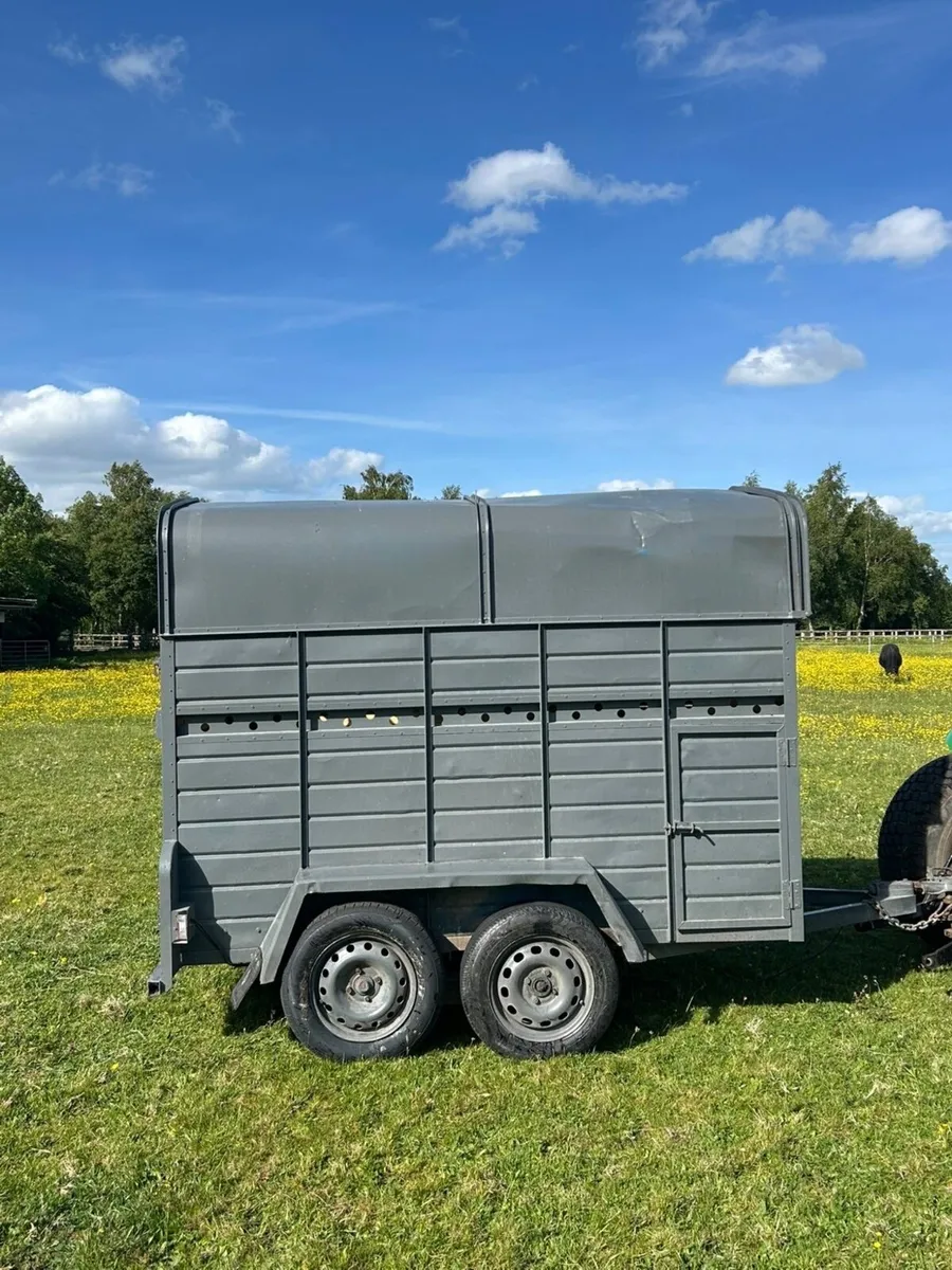 Dooley Livestock Trailer - Image 2