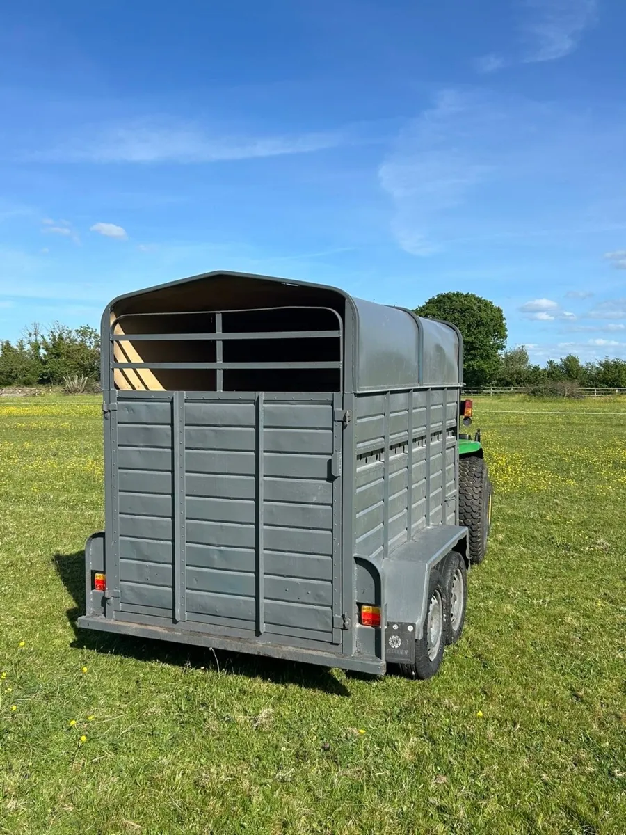 Dooley Livestock Trailer - Image 3