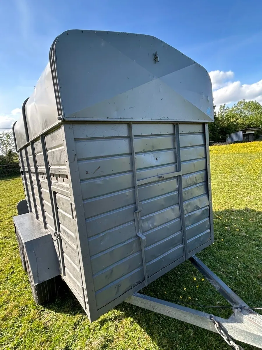 Dooley Livestock Trailer - Image 4