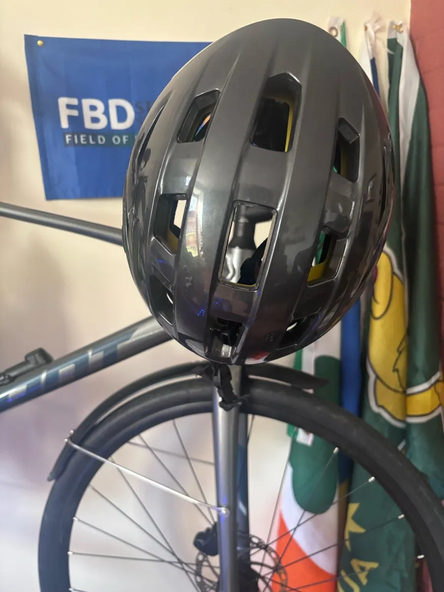Giant 21 speed eco bike - Image 3