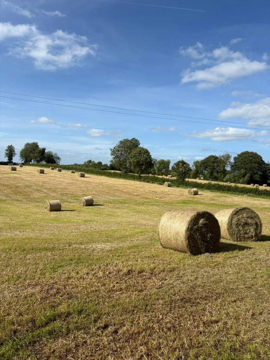 May 2026 hay - Image 1
