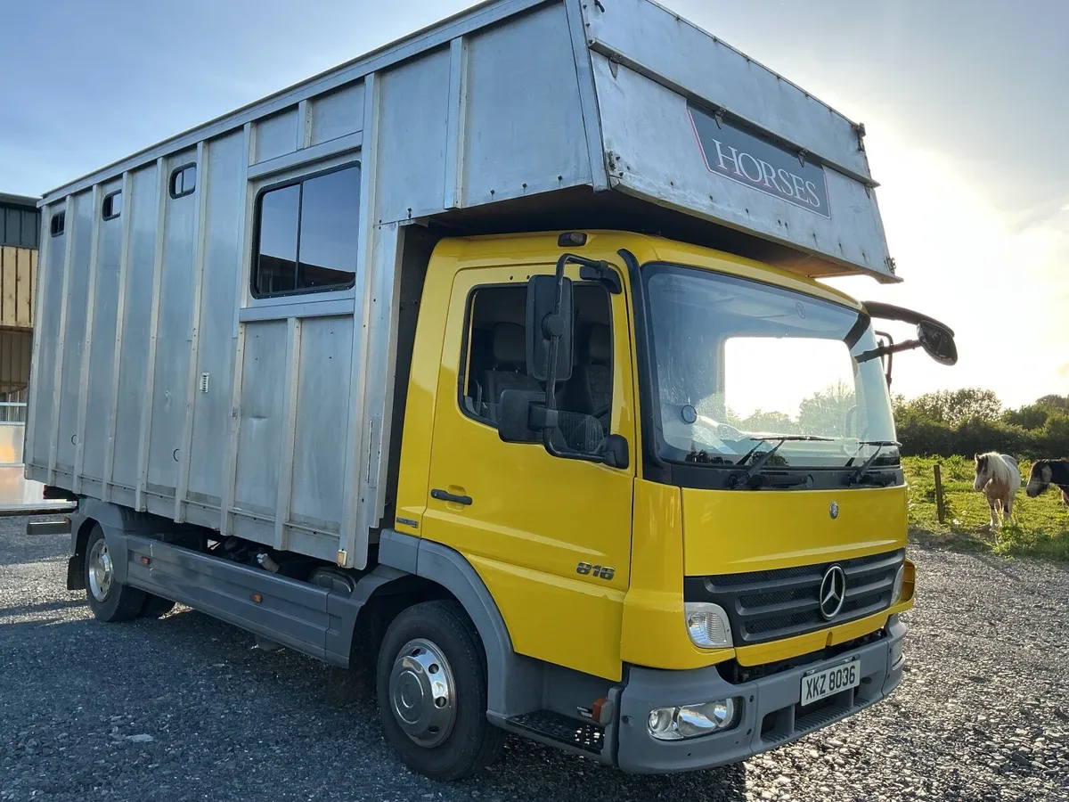 2009 Mercedes horsebox - Image 4