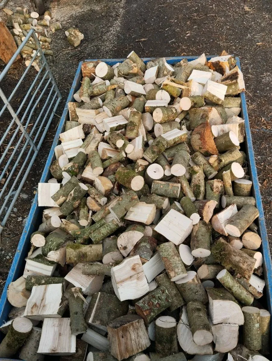 Firewood - Image 1