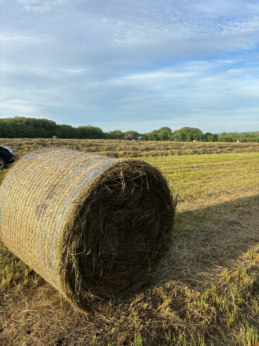 Course Hay - Image 1