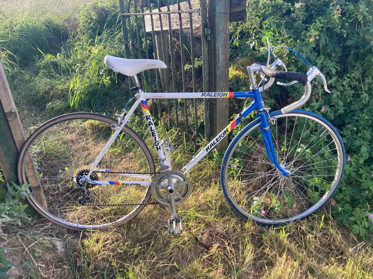 Raleigh vintage 1989 Panasonic - Image 1