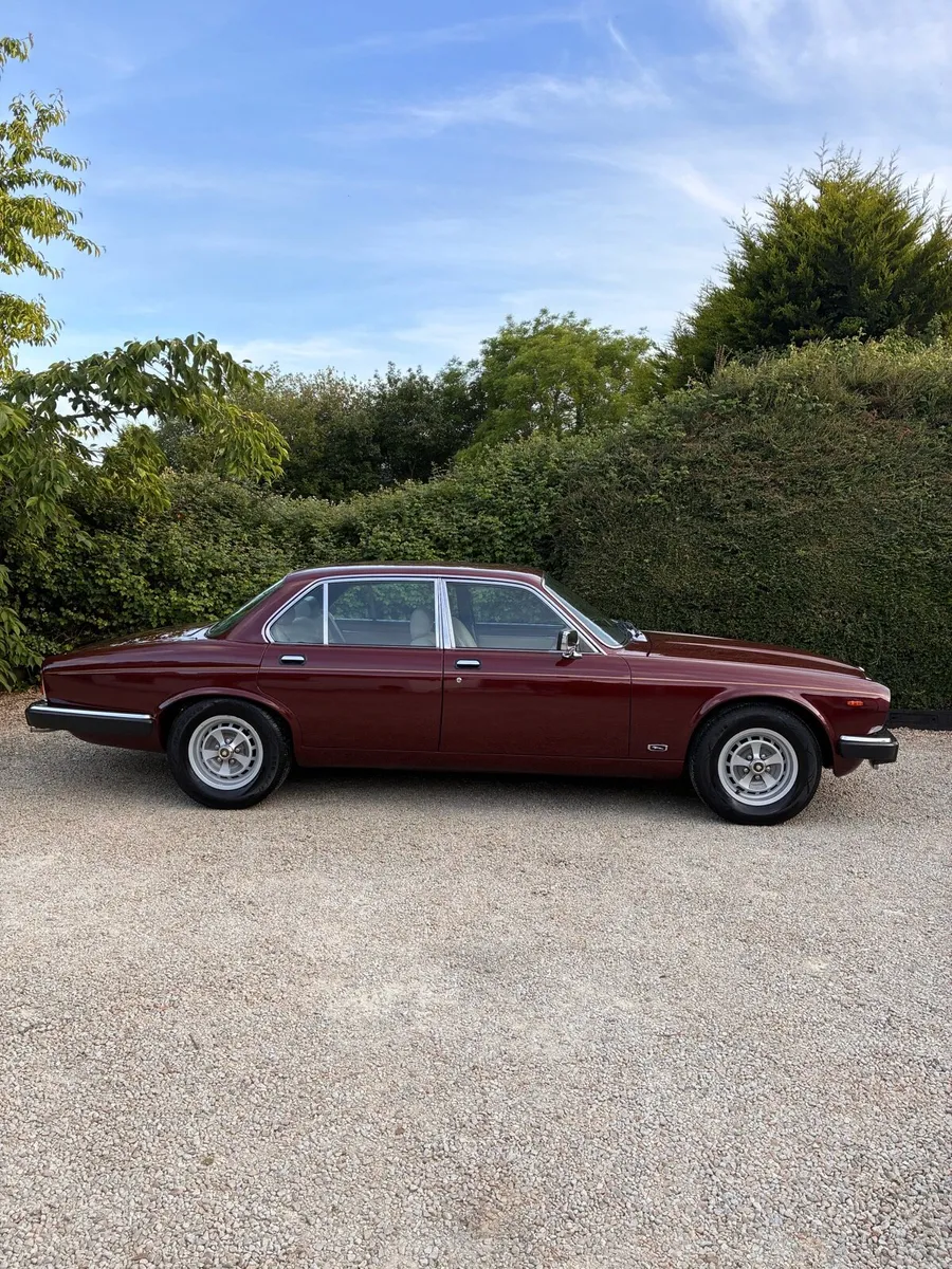 Jaguar XJ6 - Image 3