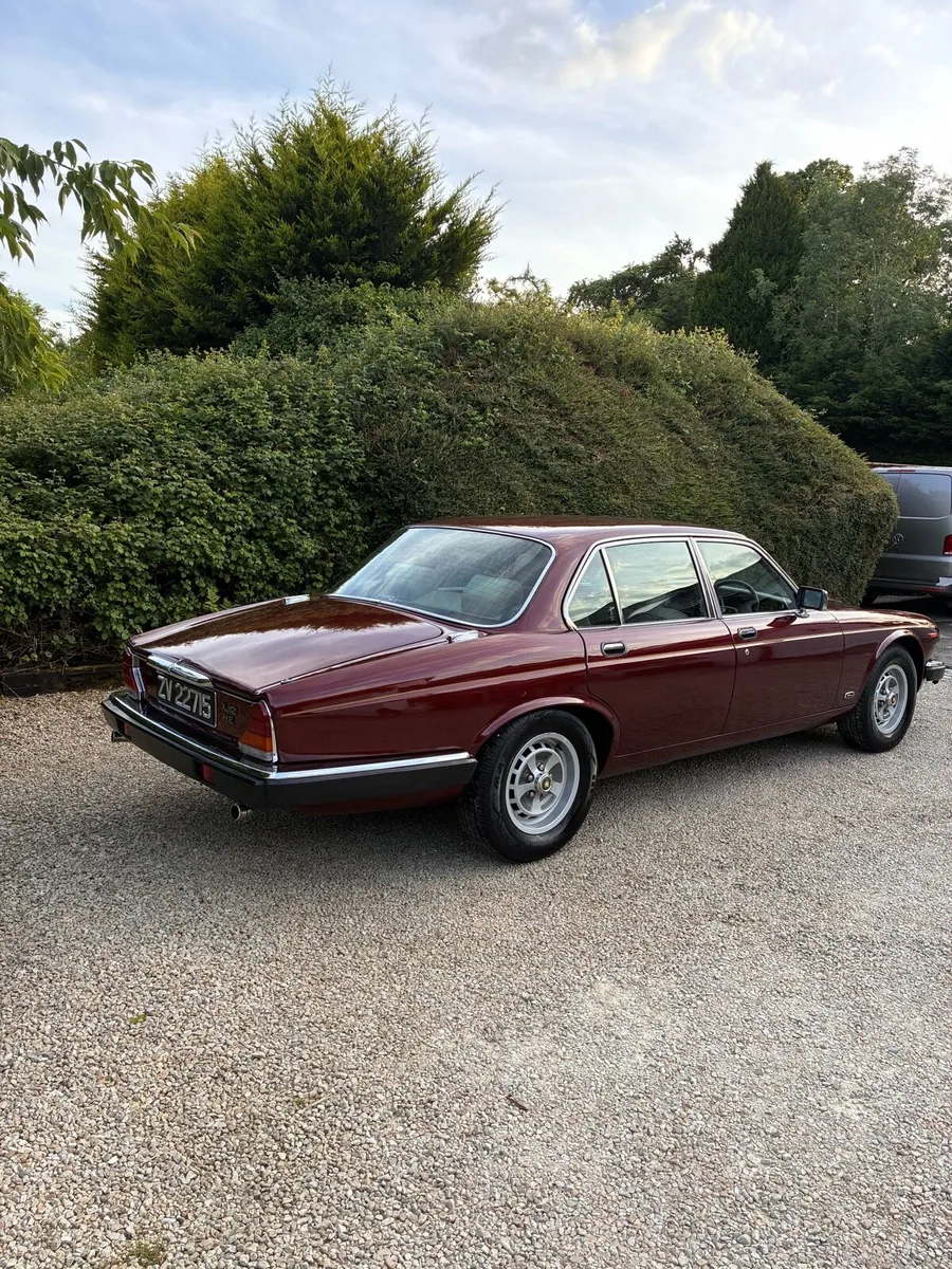 Jaguar XJ6 - Image 4