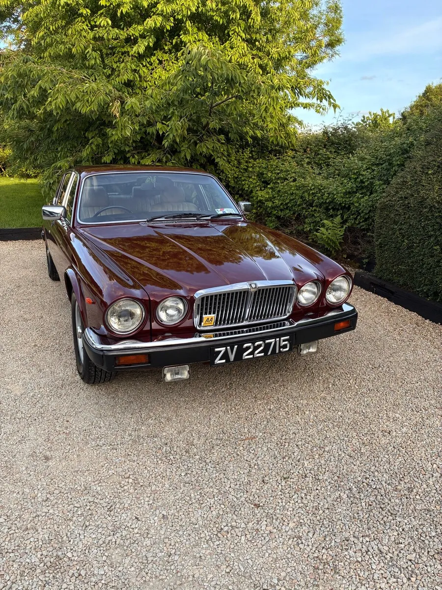 Jaguar XJ6 - Image 2