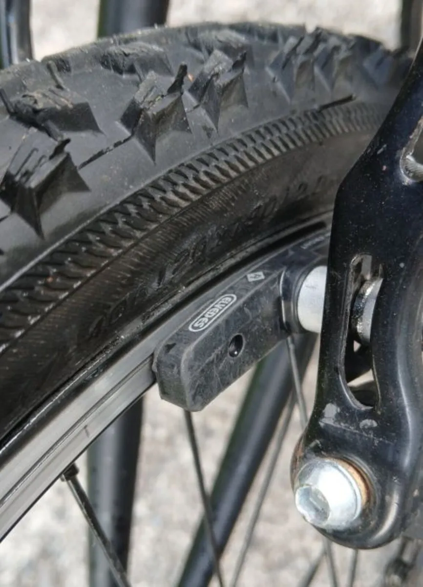 20 Inch Avoca FS20 Mountain Bike Blue - Image 2