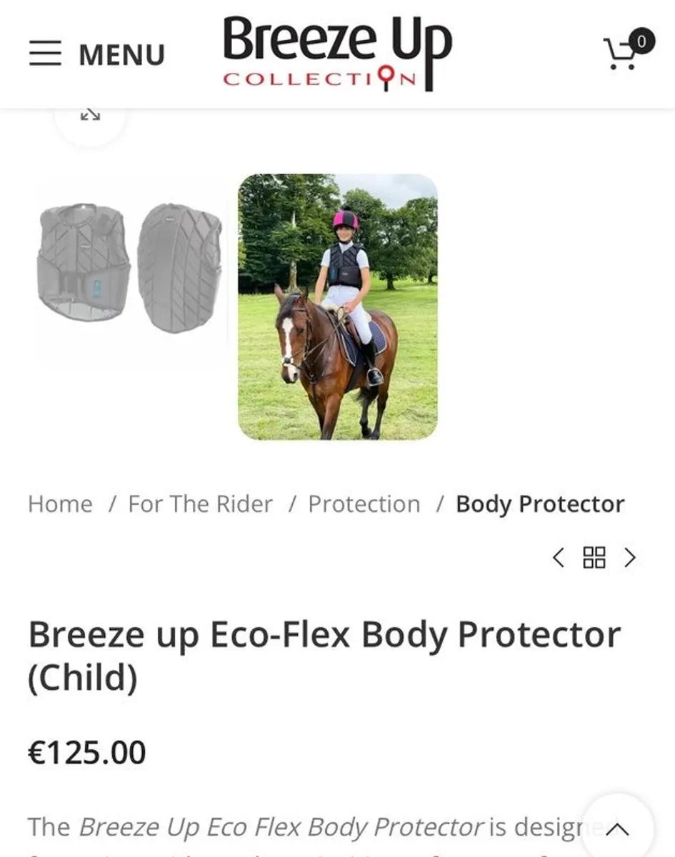 Horse riding back protector - Image 2