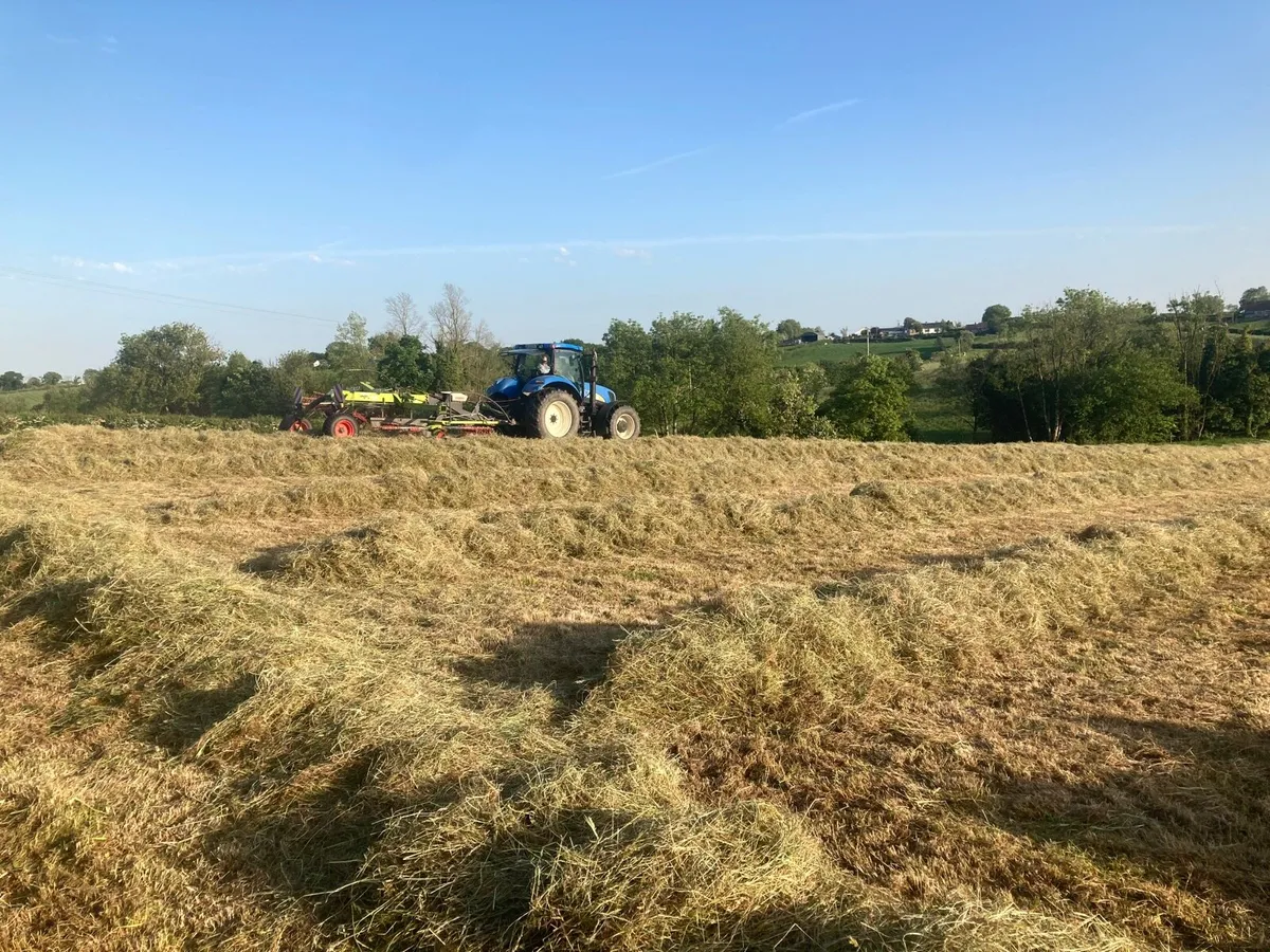 Square Bales of hay. - Image 4