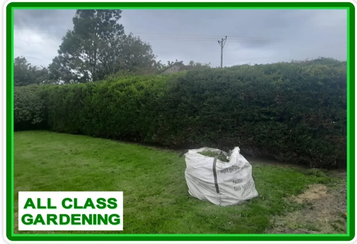 All class steam  cleaning and garden. - Image 2