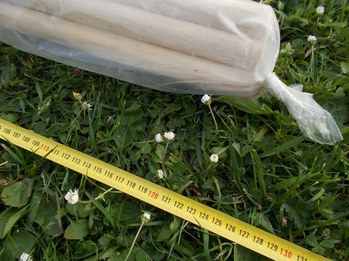 Beach Windbreaker - Image 2