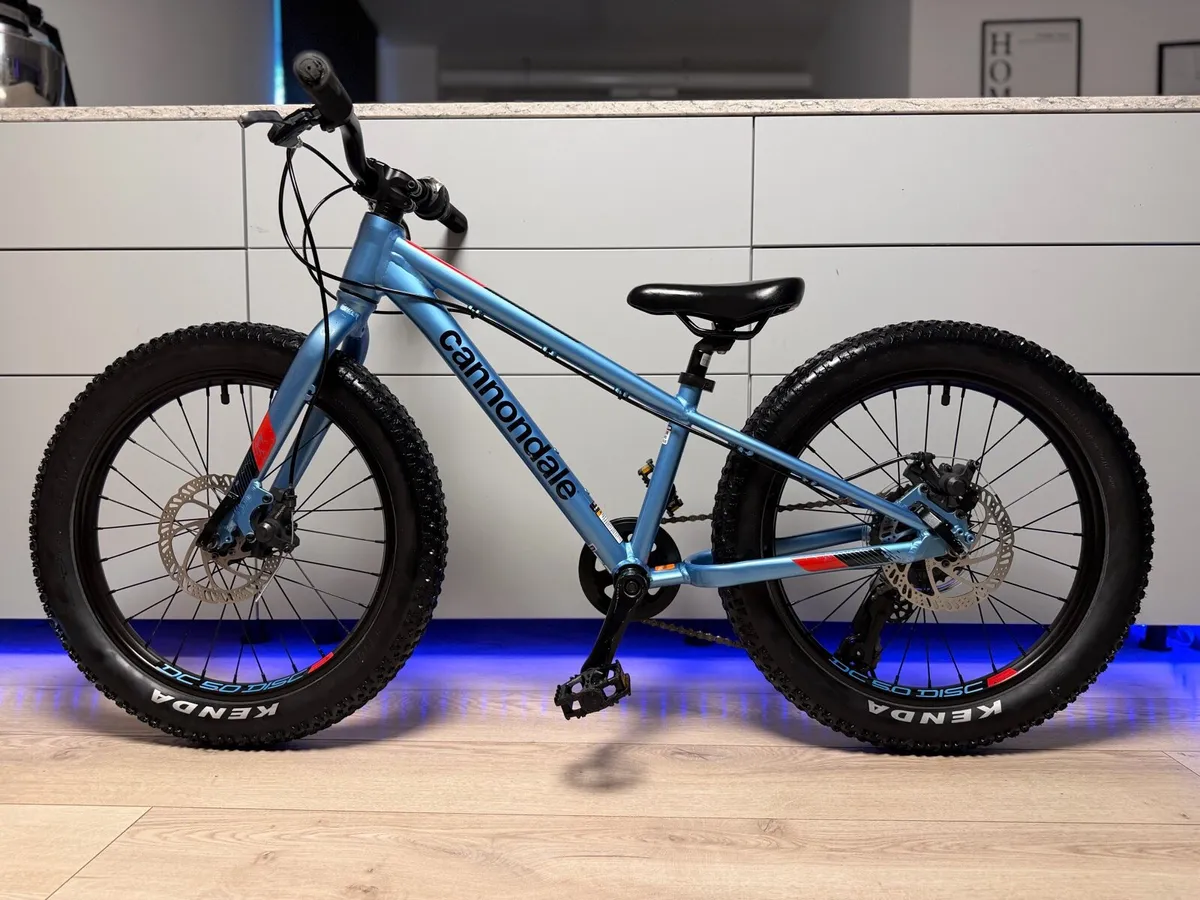 Cannondale Cujo Disc Kids Bike 20 inch - Image 2