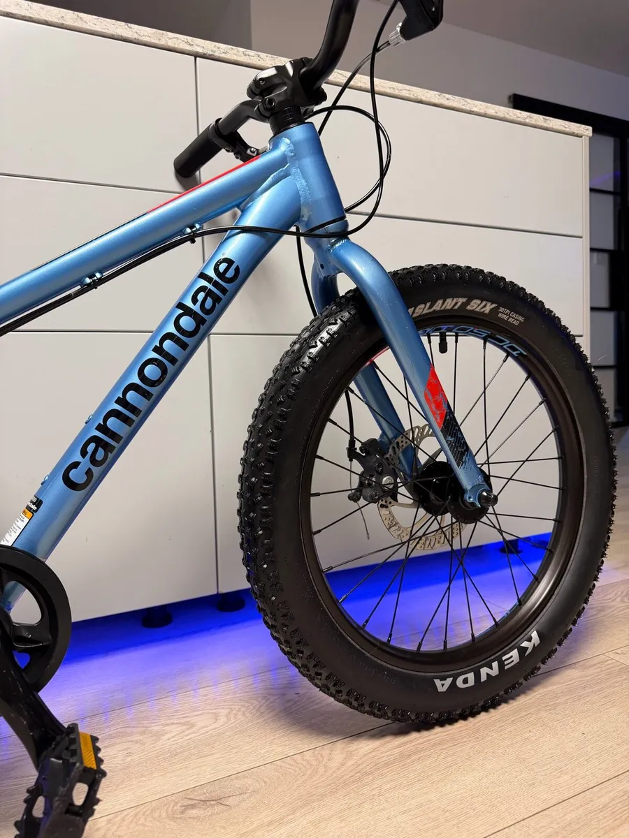Cannondale Cujo Disc Kids Bike 20 inch - Image 3