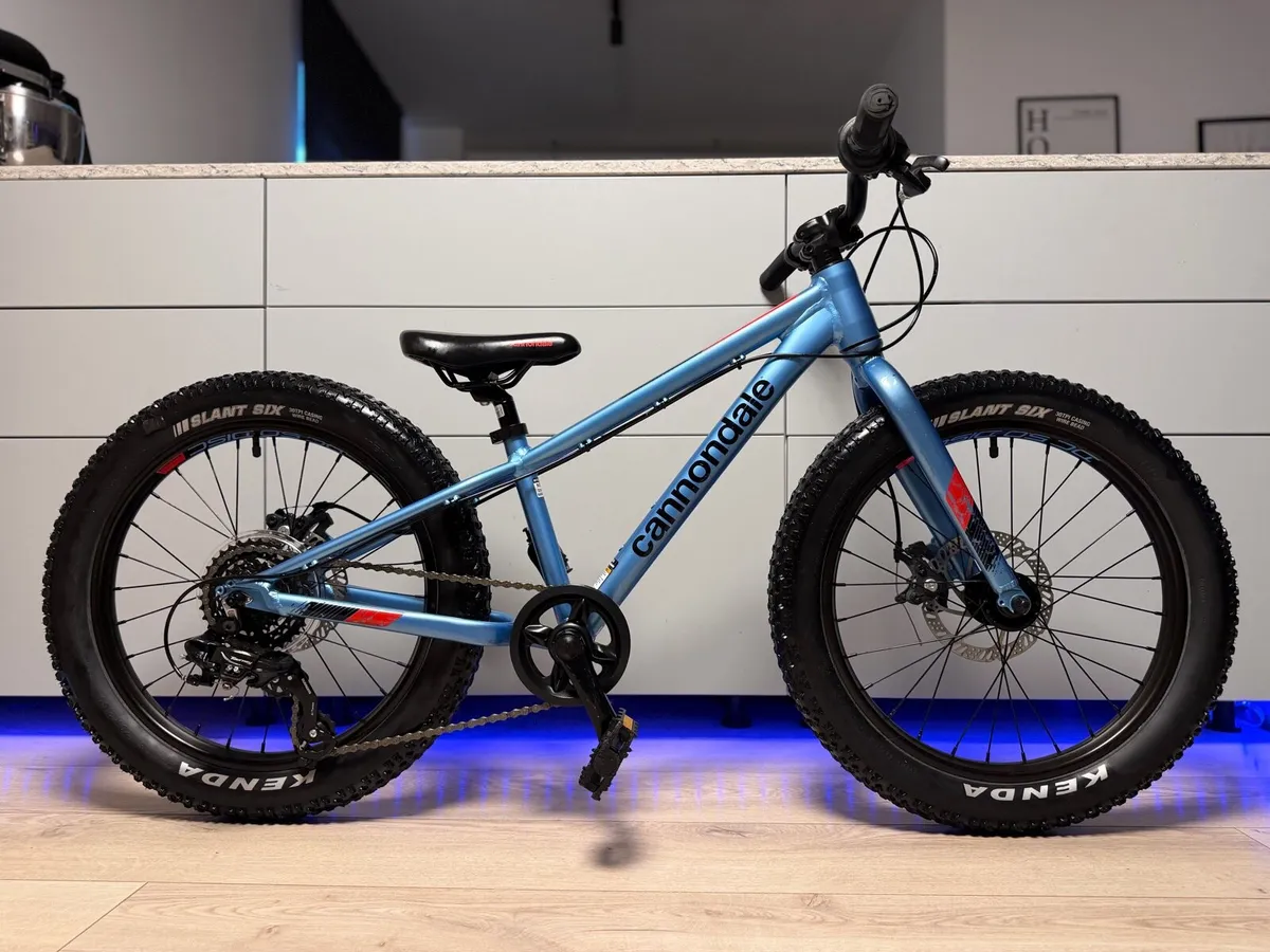 Cannondale Cujo Disc Kids Bike 20 inch - Image 1