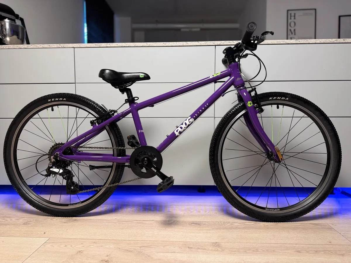 FROG 62 Junior Bike 24 inch - Image 1