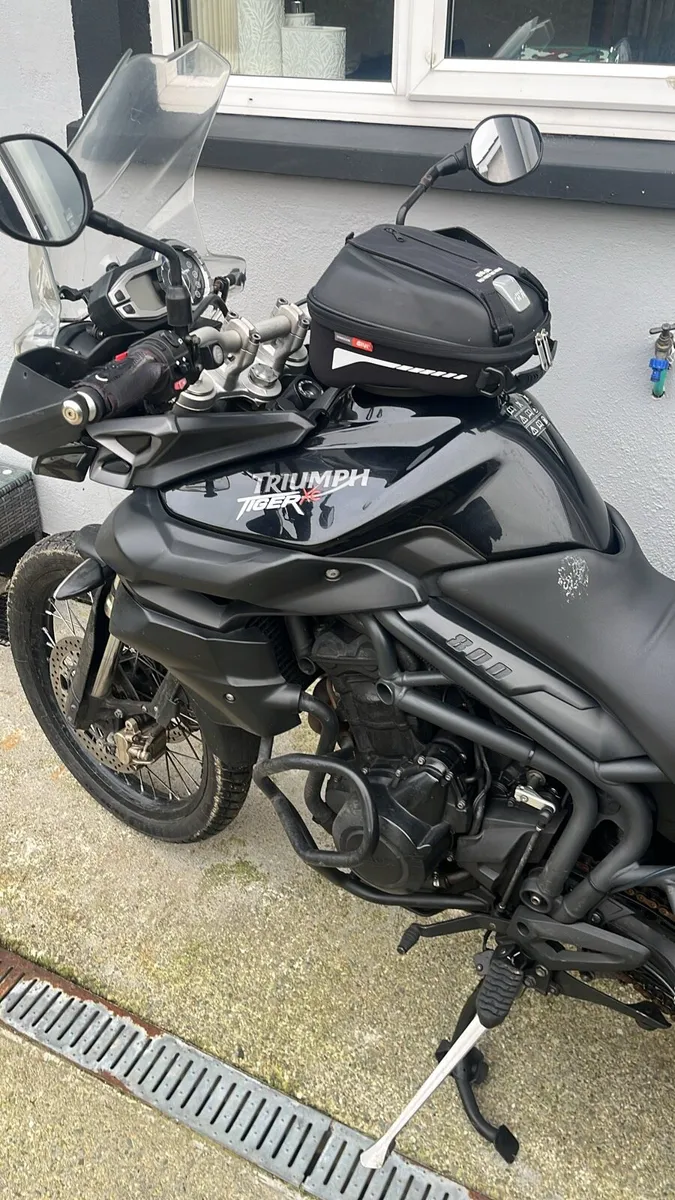 2011 Triumph Tiger 800xc - Image 4