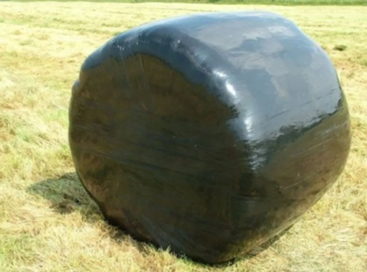 Silage bales