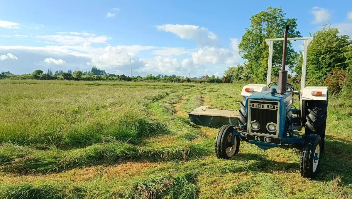FORD 3600 Tractor - Image 2