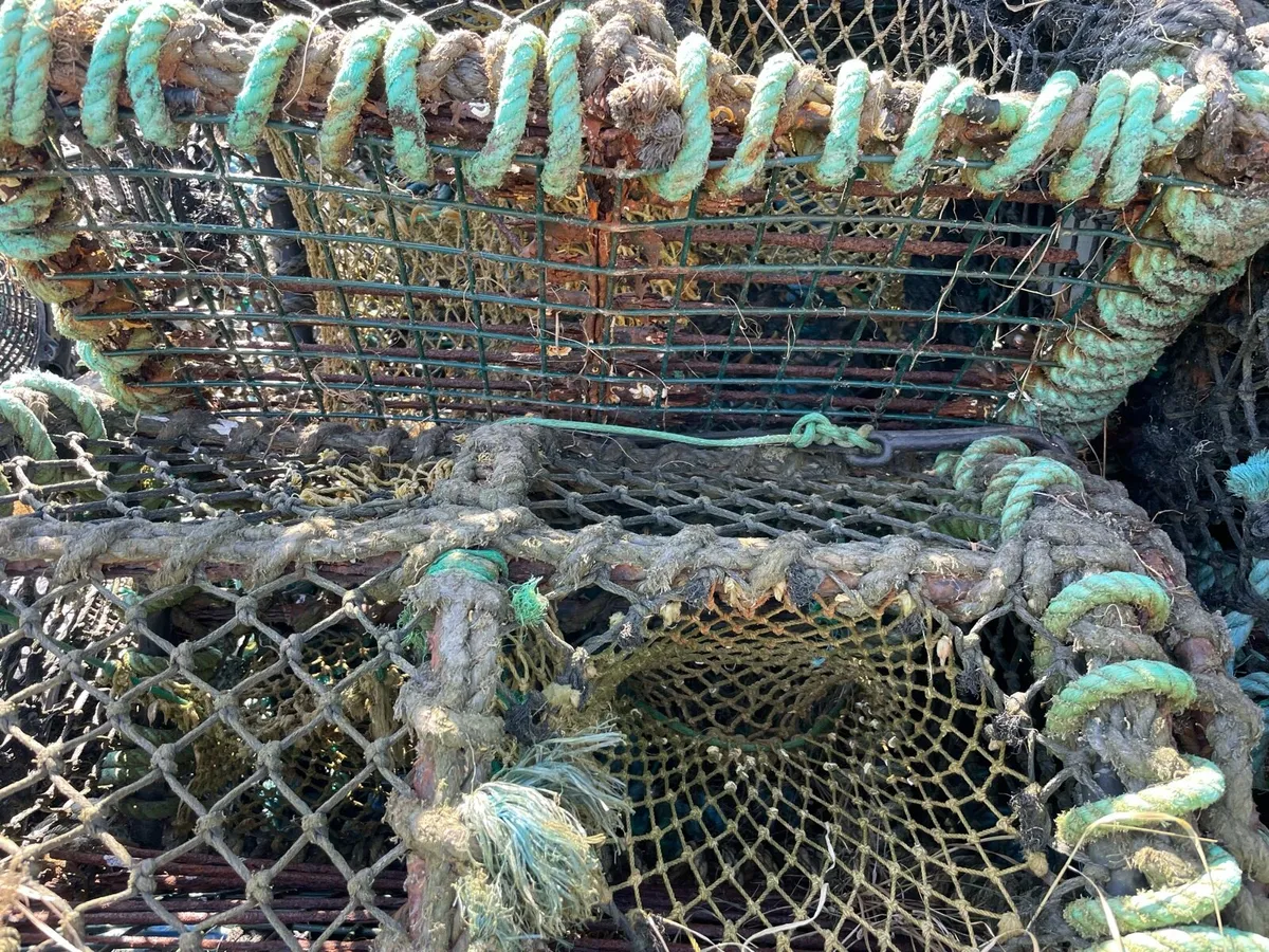Lobster pots - Image 4