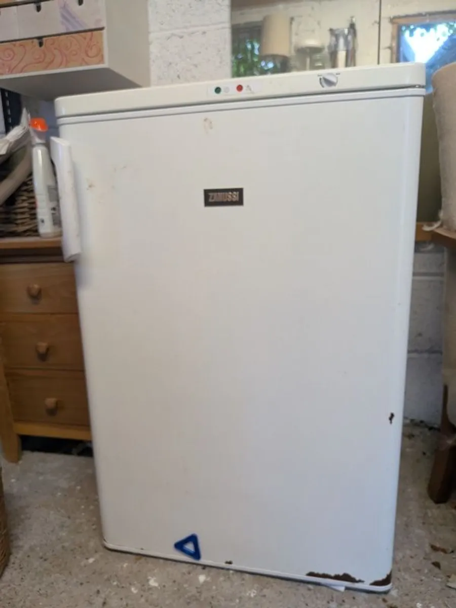 Freezer - Image 1