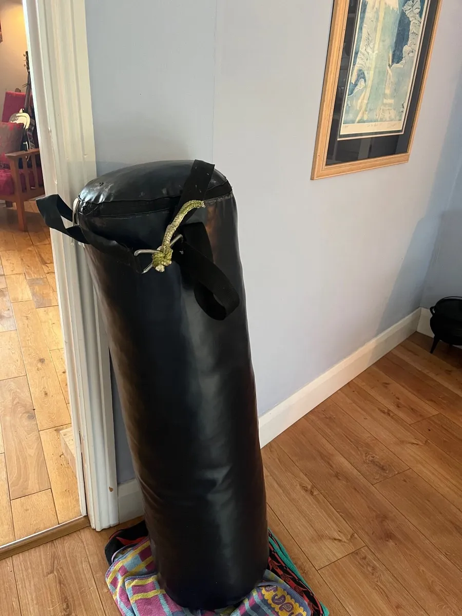Boxing bag free - Image 1