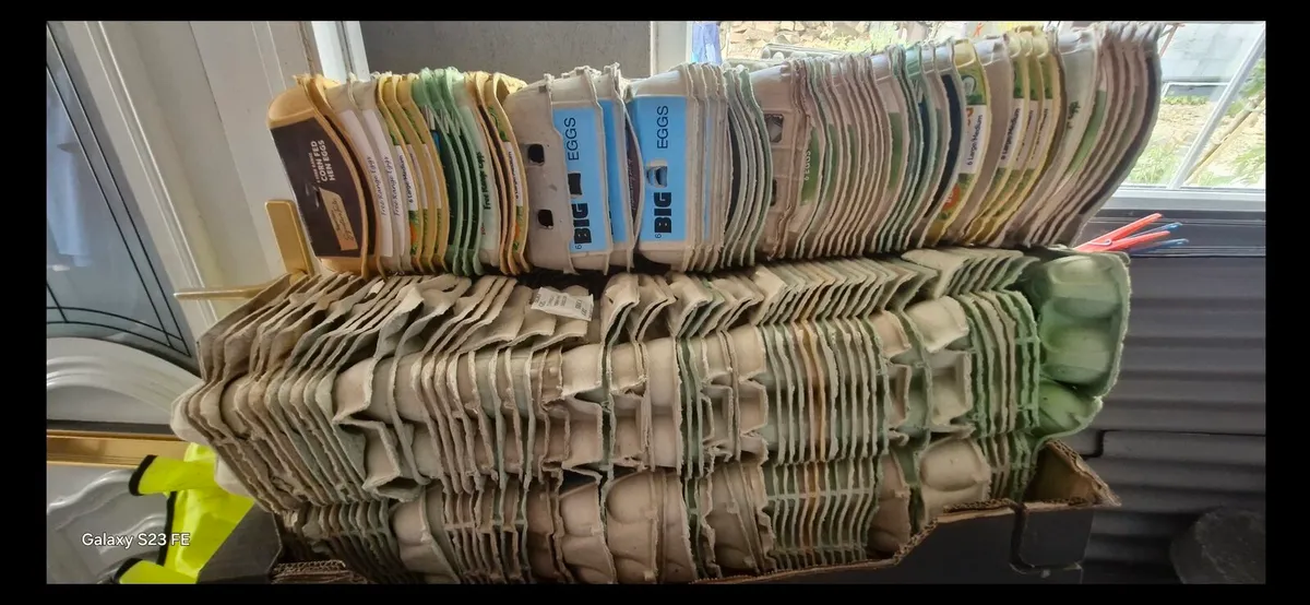 Egg Cartons - Image 1
