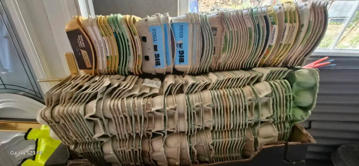 Egg Cartons - Image 2