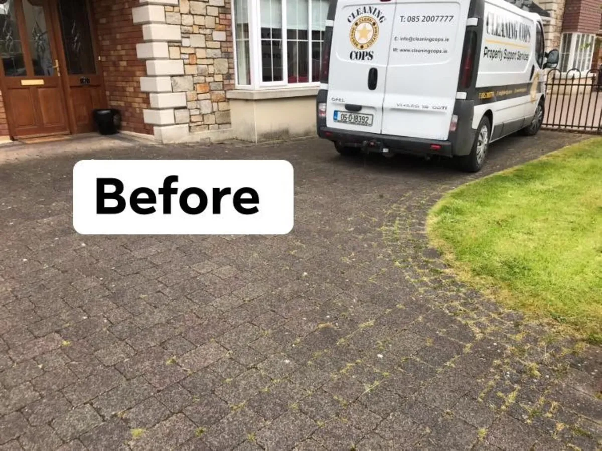 Exterior Cleaning - Image 4