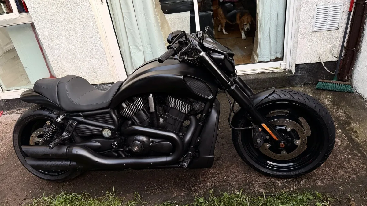 Harley Vrod Night Rod Special - Image 2
