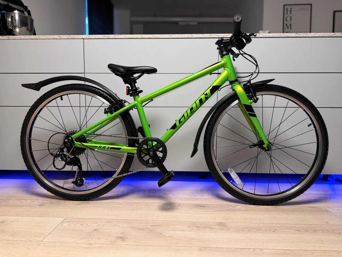 Giant ARX Junior Bike 24 inch (Like New) - Image 1