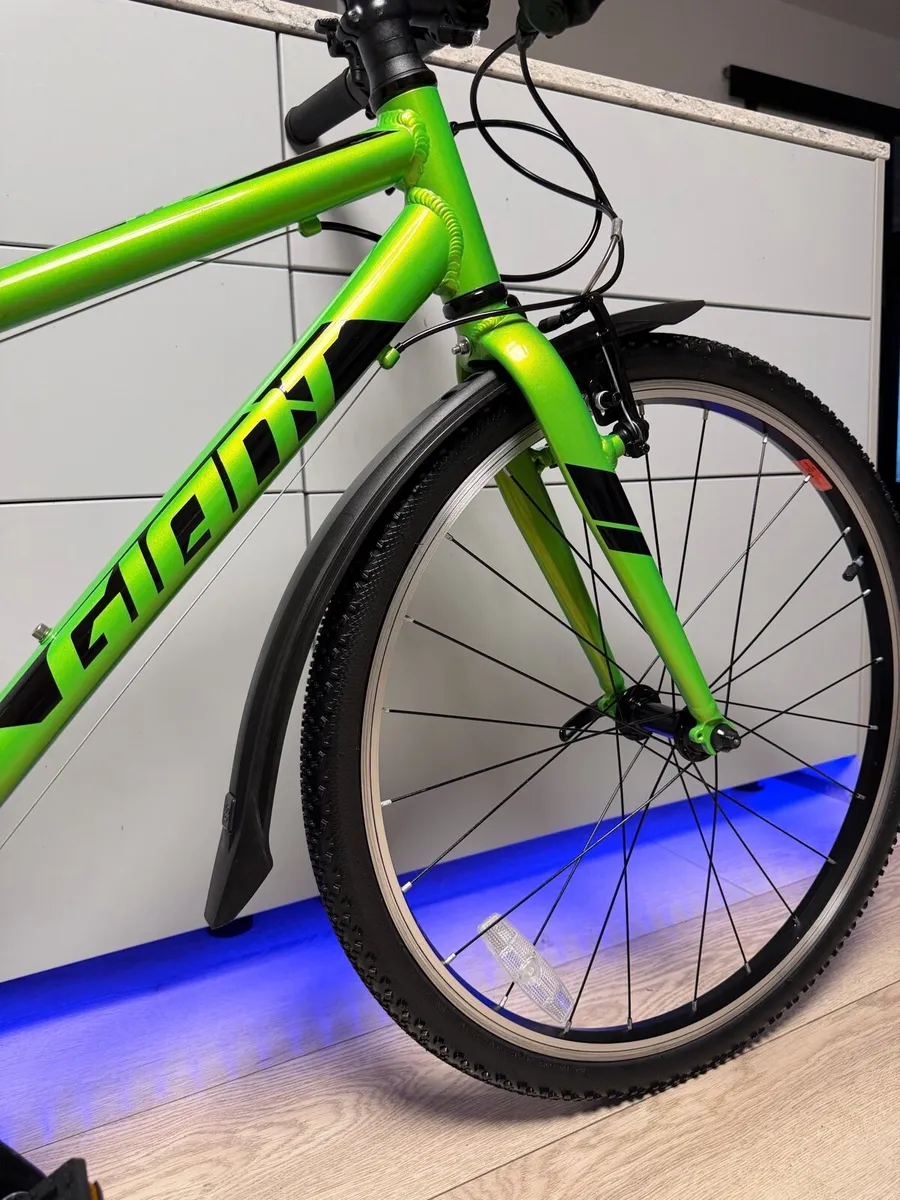 Giant ARX Junior Bike 24 inch (Like New) - Image 3
